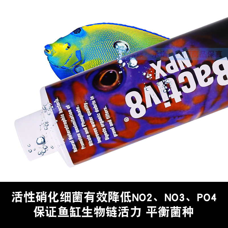 两只小鱼硝化细菌鱼缸用消化细菌活菌净水海水鱼缸水质稳定剂药剂
