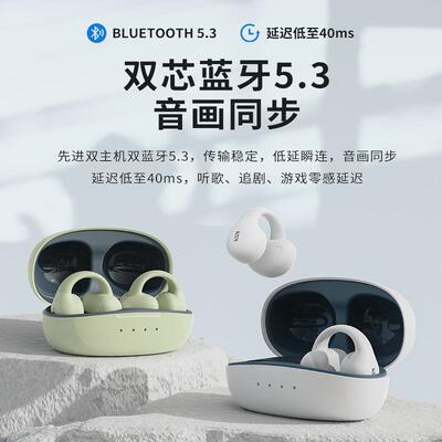 HOLY SERPENT/蛇圣 蓝牙耳机适用陨耳机蓝牙降无线跑步运动夹耳式
