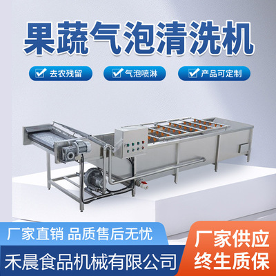 全自动水果蔬菜清洗机喷淋式去农残洗菜机小龙虾气泡清洗设备净菜