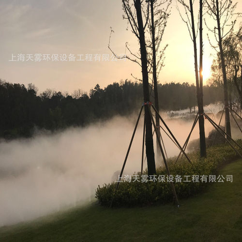 景观雾化园林造景 人造雾喷雾设备 高压微雾主机雾森冷雾系统安装