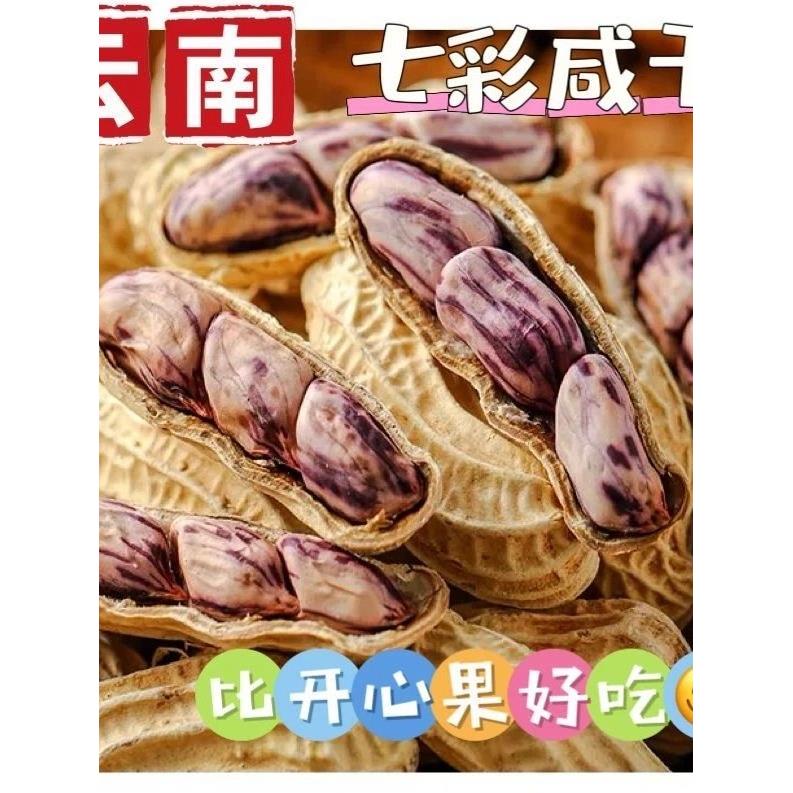 【新品】云南七彩花生水煮咸干咸香酥脆炒货带壳熟野地花生露营