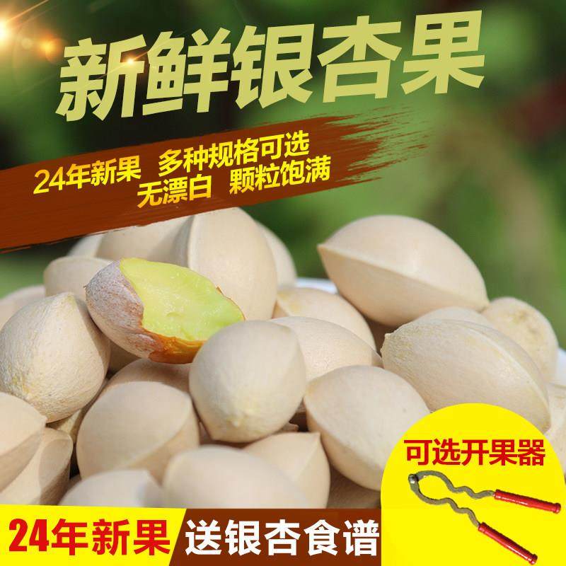 2024年新鲜银杏果白果优质大佛指带壳邳州特产送食谱银杏仁开果器,零食/坚果/特产,白果/银杏果,淘宝优惠券,粉丝福利购,淘宝优惠卷