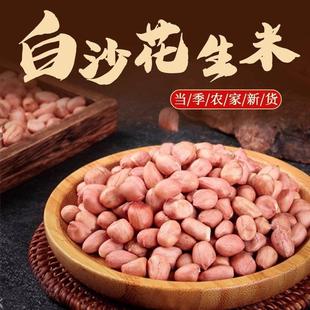白沙花生2025年新货现剥白沙花生米特级大粒粉红皮带壳不带壳榨油