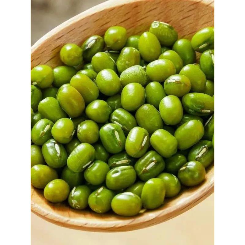 【疯抢5斤】优质东北农家新绿豆杂粮绿豆发芽打豆浆绿豆汤绿豆粥