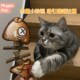 猫玩具自嗨解闷神器消耗体力逗猫棒鱼木天蓼磨牙棒耐啃咬宠物玩具