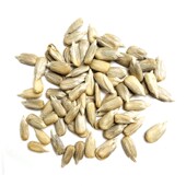 炫料生大瓜子鹦鹉鸟食三道眉大瓜子鹦鹉零食鸟粮中大型鹦鹉粮饲料