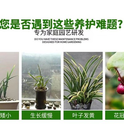 柳树皮发酵腐熟颗粒石斛兰蝴蝶兰科植物植料生根型营养土多肉