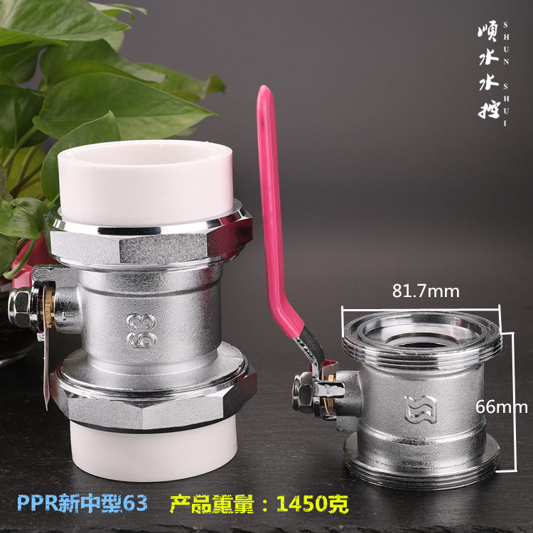 加厚双活接PPR铜球阀热熔阀门水管配件开关dn20 25 32 4分6分1寸