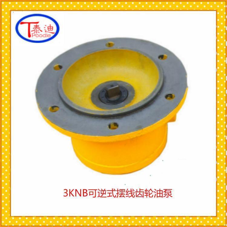 3KNB-12.5A可逆式摆线齿轮油泵双向润滑泵微型双向油泵