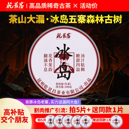 乾景昌2025年冰岛五寨古树生茶