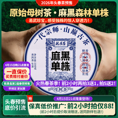 乾景昌2026年麻黑单株古树茶