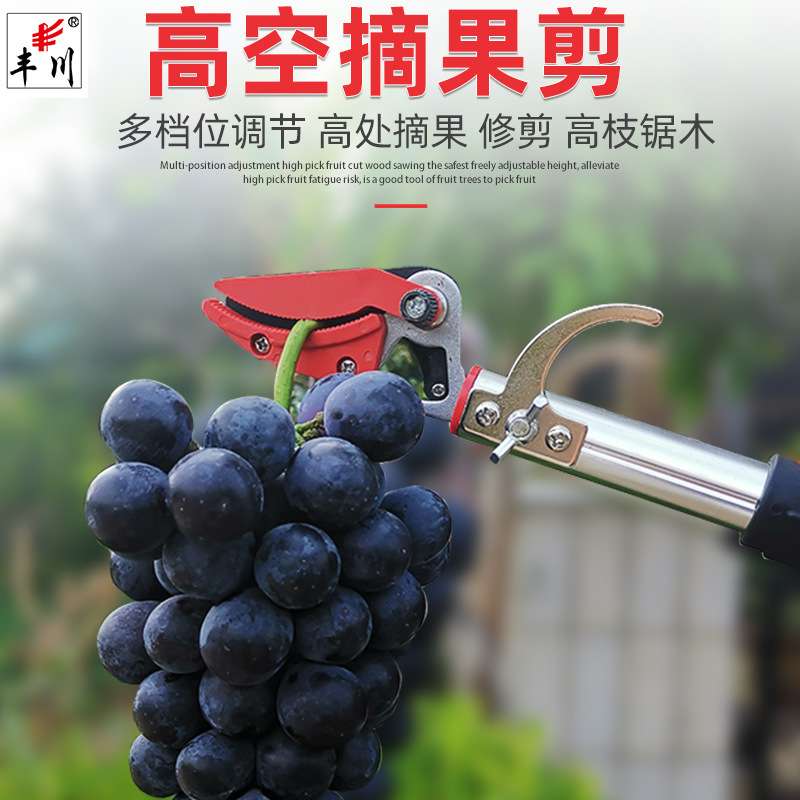厂家 摘果剪 1.8-3米铝合金伸缩高空剪荔枝龙眼摘果剪园林工具