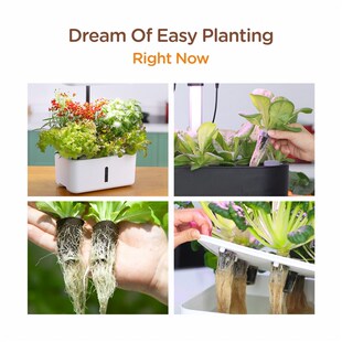 碳棉育苗块丹麦泥炭土块水培基质无土栽培有机营养土块定植扦插