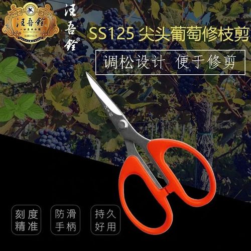 汪吾铨剪刀葡萄修枝剪疏果剪梳果神器家用小剪刀尖头剪园艺摘果剪