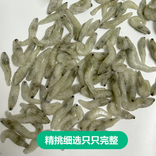 冷冻小河虾鱼食淡水新鲜活冰冻虾段龙鱼饲料虾仁喂鱼麦穗鱼泥鳅段