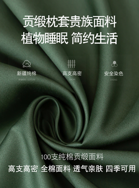 100支长绒棉贡缎枕套枕头套一对装家用单个信封枕30x50cm40x70cm