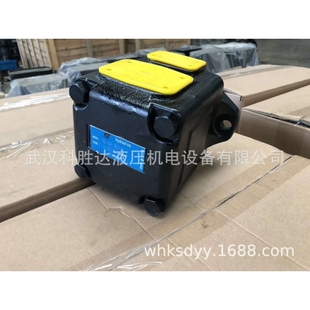 1R01 JCH金城油泵T6C 014 T6E单联定量叶片泵T6D B1注塑机泵 T6D