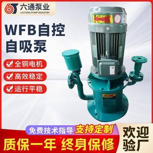 无密封自吸泵电动空气阀电子阀自控自吸泵 WFB型高吸程不锈钢立式