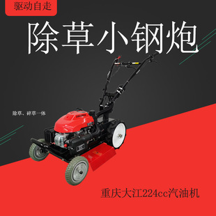 果园大坝除草碎草机农用家用小型多功能开荒割草机秸秆粉碎还田机