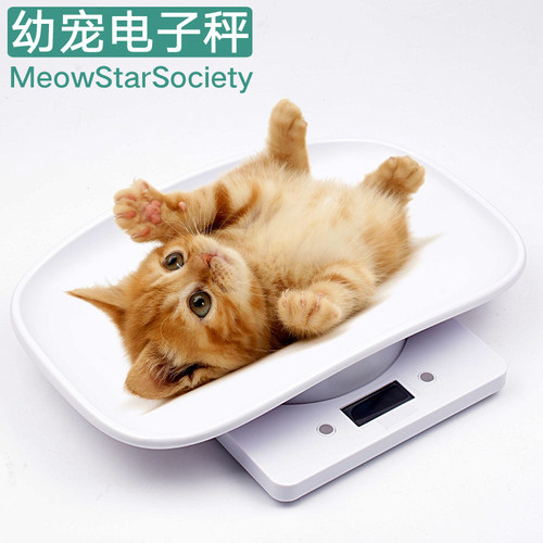 宠物猫咪狗狗新生幼宠小猫幼崽小宠幼猫幼犬奶猫专用秤体重电子秤