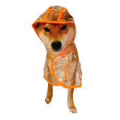 狗狗雨衣泰迪柴犬小型犬中型犬雨披小狗全包比熊防水宠物雨天衣服