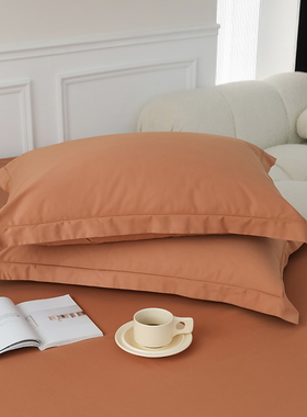 100支全棉枕套48x74cm一对2只装 高支A类长绒棉枕芯套30x50整套