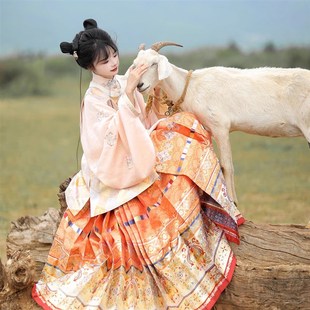 无贰集【云朝玉京】明制立领对襟袄短比甲日常百搭马面裙汉服秋款