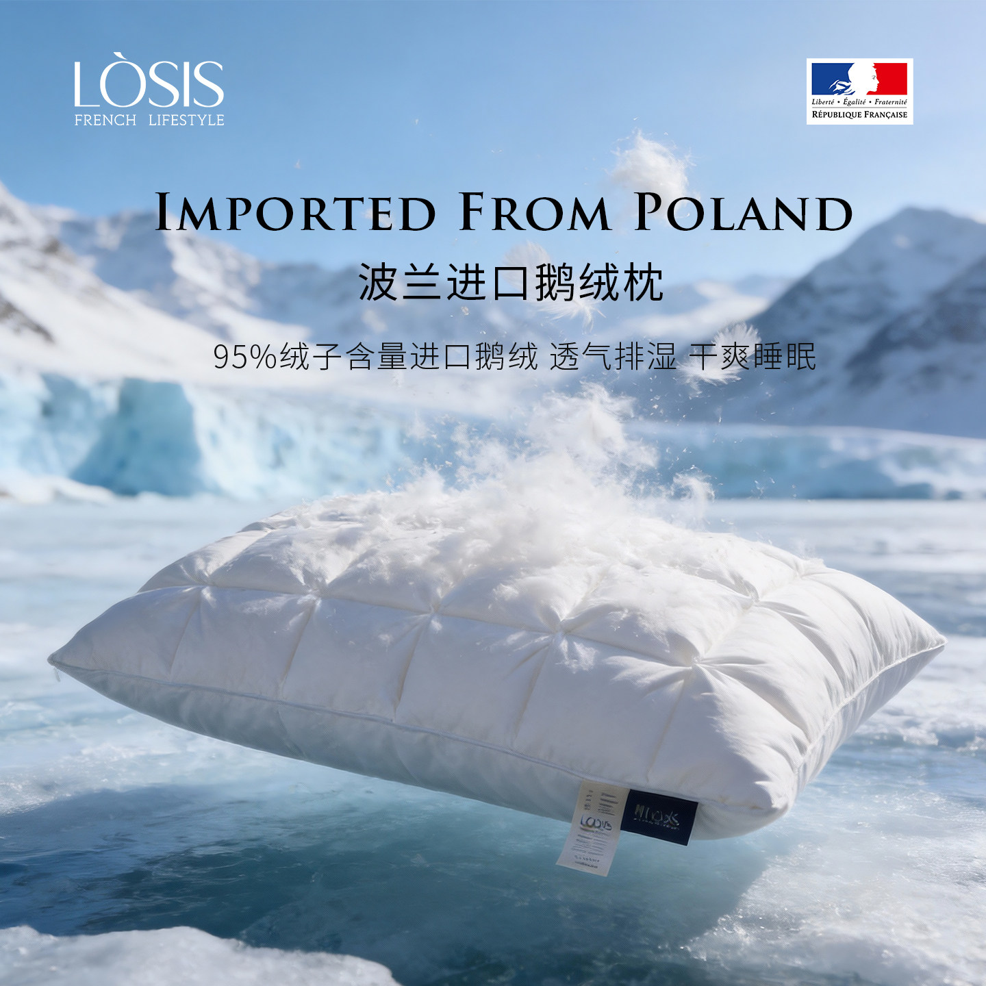 LOSIS/露茜波兰进口鹅绒枕
