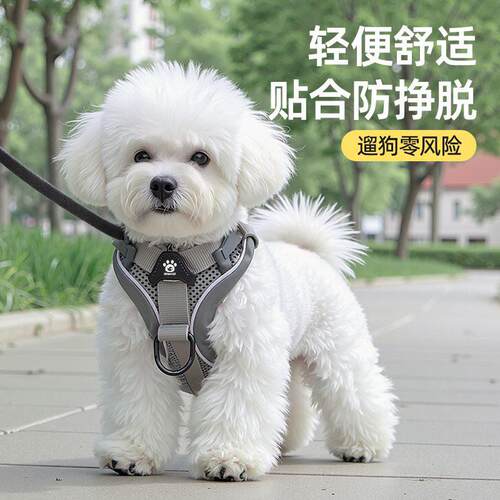 宠物猫咪牵引绳背心式胸背带反光防挣脱透气网布防走丢项圈遛狗绳