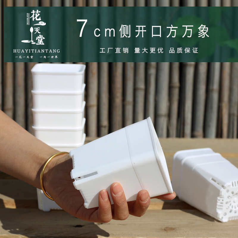 多肉万象盆日式侧开口高透气方口盆塑料花盆十二卷玉露景天小桩盆