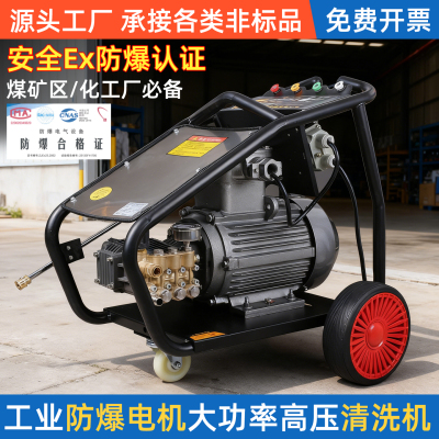 黑猫清洗机EX防爆电机化工煤矿井