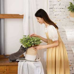 新款 饰GF16296A 直销尤加利销售 金钱叶植毛配草仿真花假花婚庆装