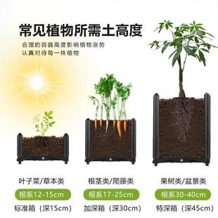 直销家庭阳台种植箱果蔬种菜盆多层塑料花盆长方形槽特大家用 新款