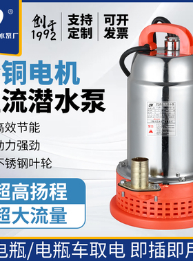 上海人民SRSC直流潜水泵电瓶12V48V72V电动农用抽水机水泵