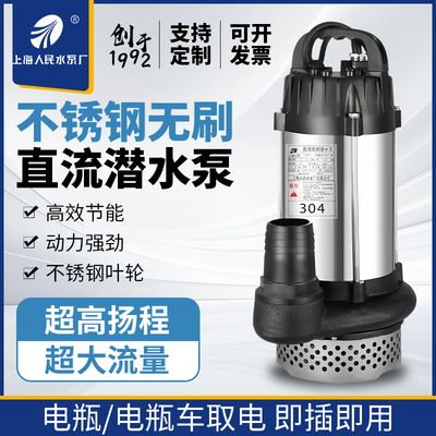 上海人民SRSC无刷电动车农用抽水48V60V72V灌溉小型抽水泵