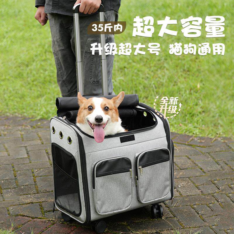 宠物拉杆箱狗狗外出包小型犬背包小狗手推车行李箱大号柯基车载箱