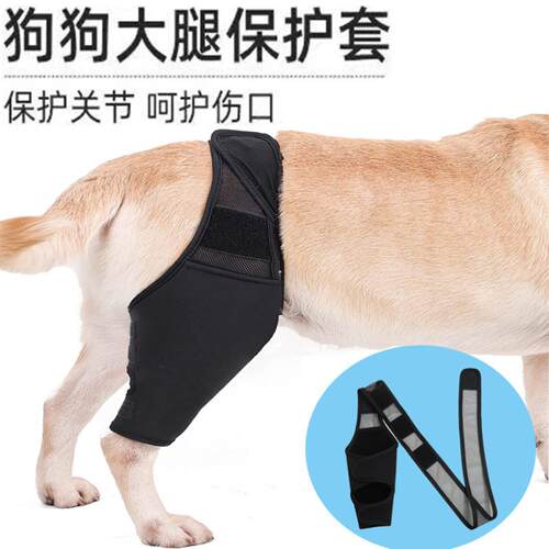 热销物狗腿支撑保护套受伤护膝狗