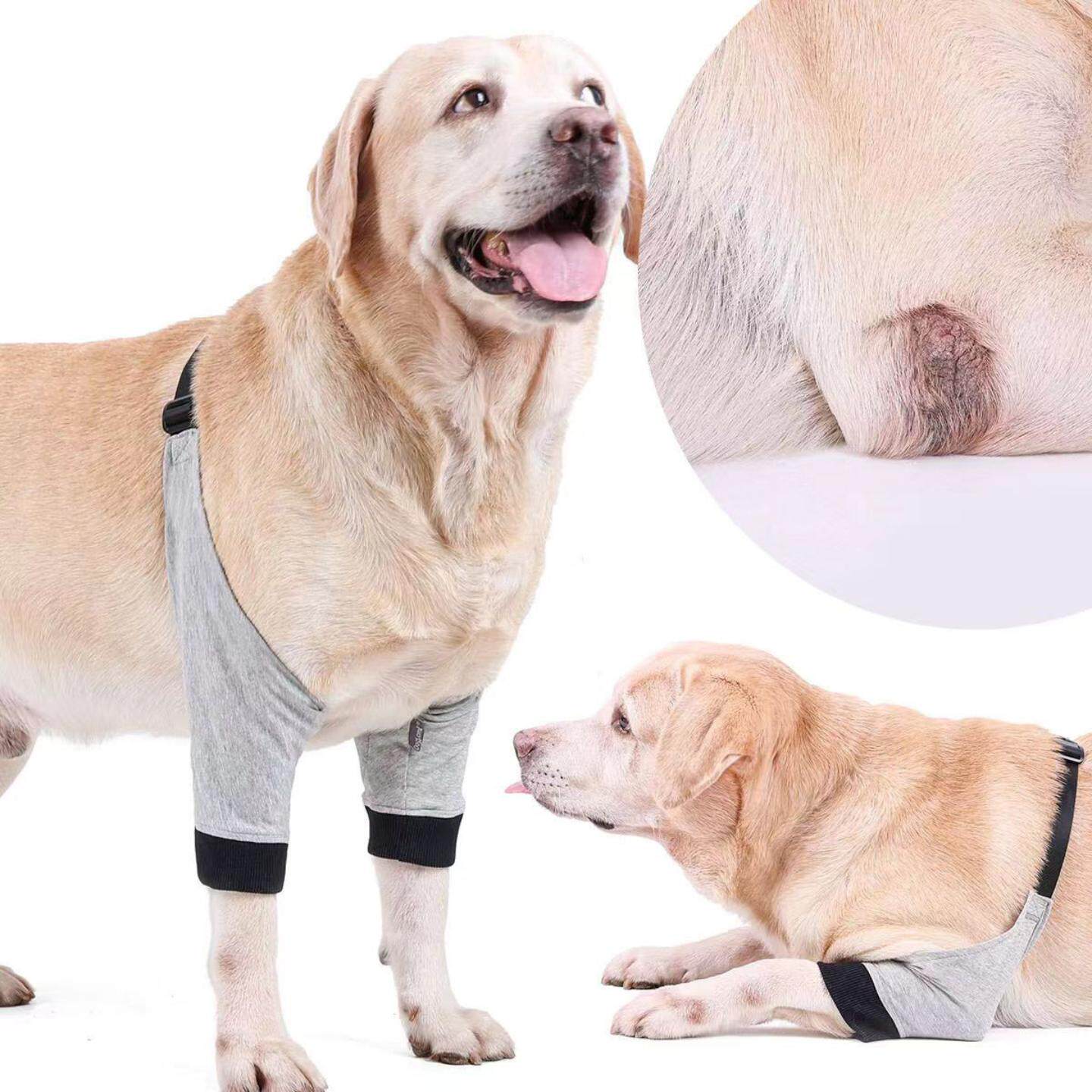 狗狗受伤保护套护腿护膝宠物护具
