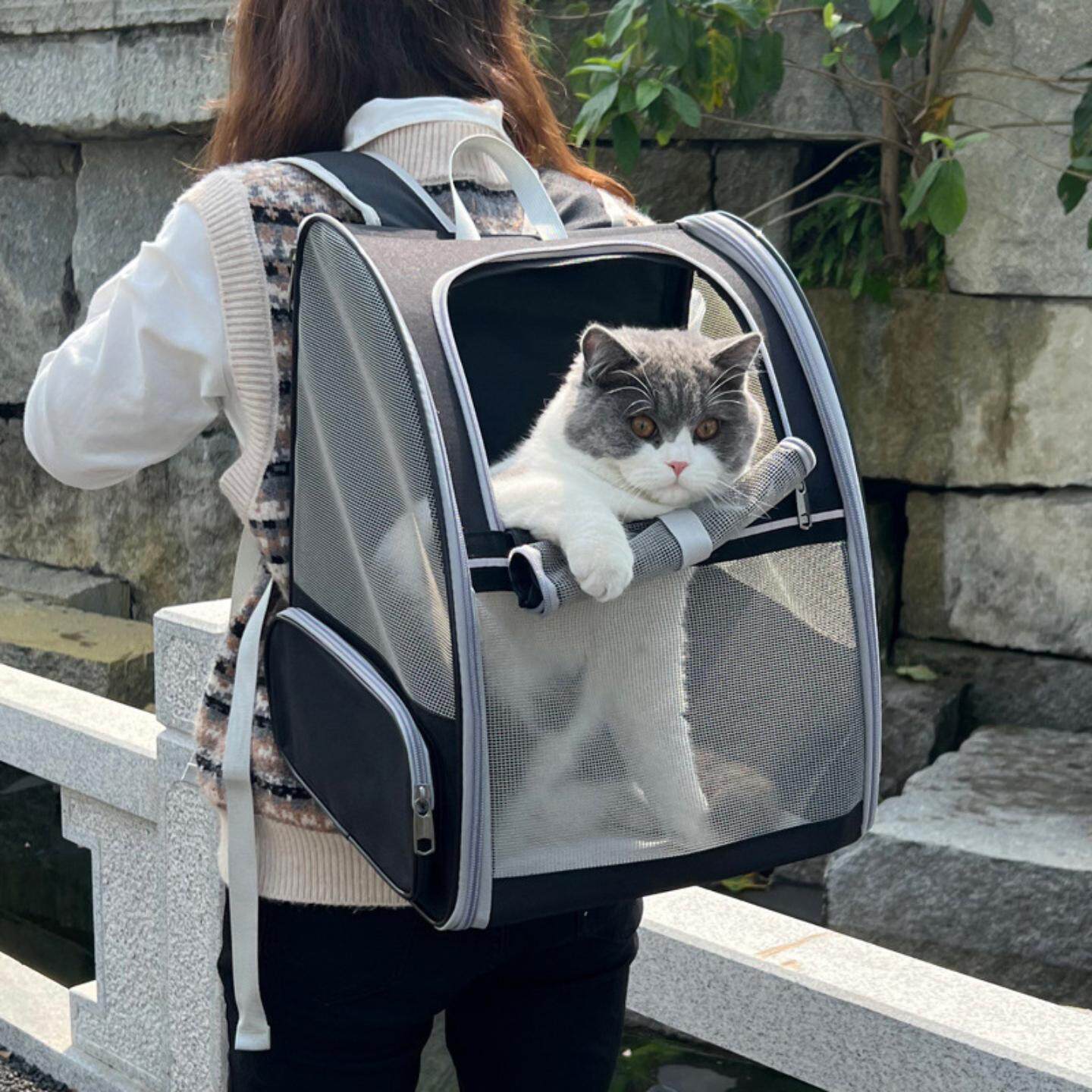 折叠猫包新款双肩宠物背包大容量
