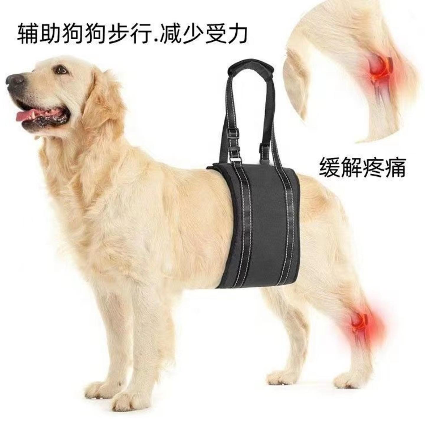 升级款宠物行走辅助带狗狗残疾