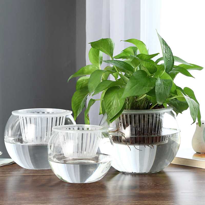促销水培植物玻璃瓶绿萝大号加厚玻璃花盆圆球型鱼缸器皿花瓶