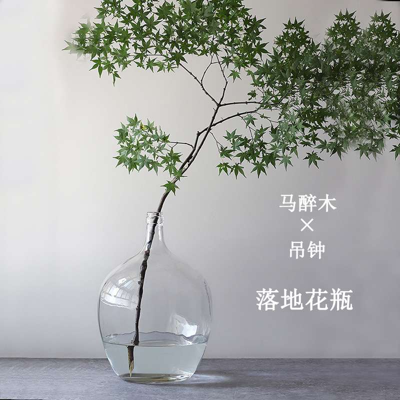 简约透明大肚玻璃花瓶小口马醉木花瓶吊钟插花客厅摆件水容器大号
