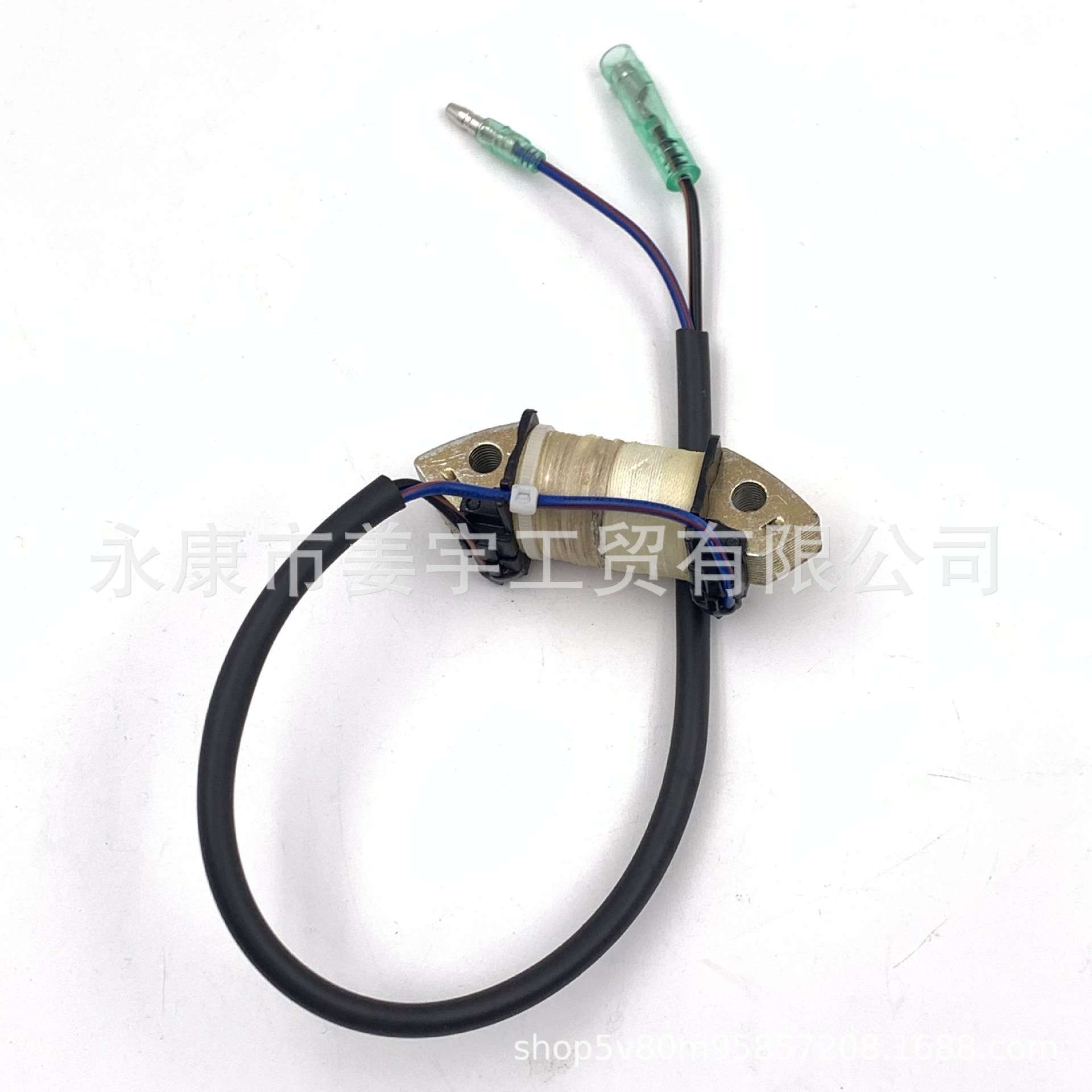 用于东发4冲程9.8马力F9.8舷外机配件充电线圈 船外机3V1-06021-0