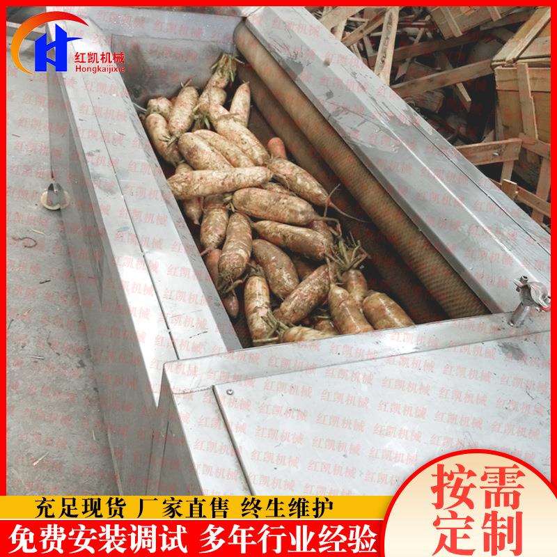 热消马蹄毛辊清洗机喷淋式去皮去泥清洗机软硬毛刷清洗机设备