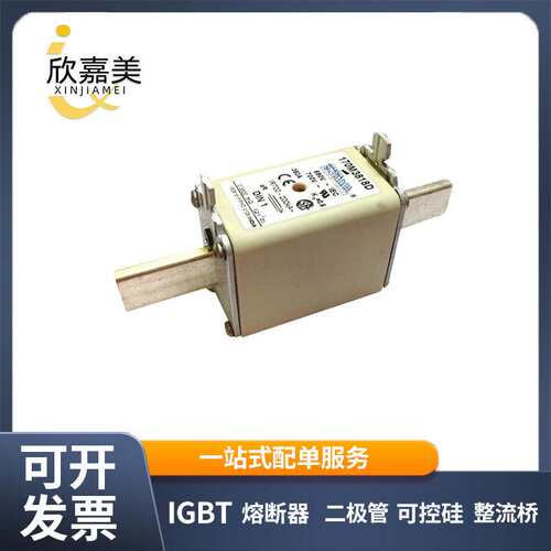 170M3818D 170M3819 快速熔断器  电子元器件 库存充足 量大价优