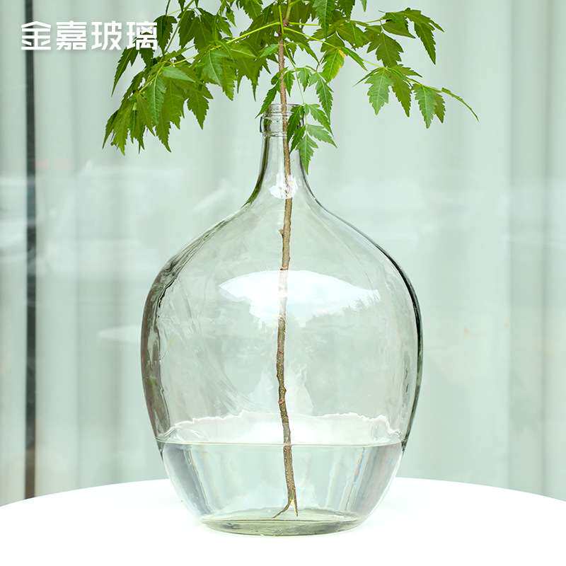 透明玻璃简约大肚子花瓶水培摆件吊钟马醉木插花落地高白料