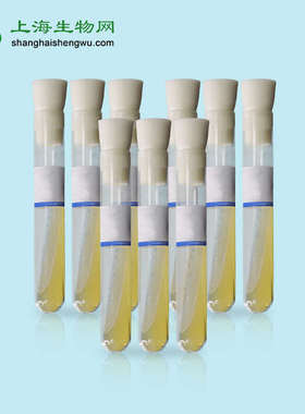 15mm×150mm,18mm×180mm无菌斜面试管 PDA培养基 10支装 包邮