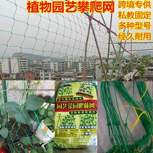 尼龙网牵牛花攀爬家用 植物园艺爬藤网葡萄黄瓜爬藤搭架网加强版