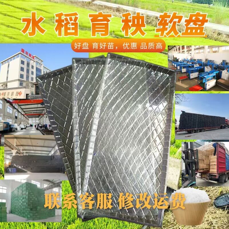 7/9寸软盘水稻育秧盘6/8行机插秧盘育苗盘水培苗盘小麦水稻种植盘