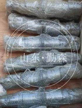 装载机配件型号齐全WA380-5变速箱联轴节714-12-24110